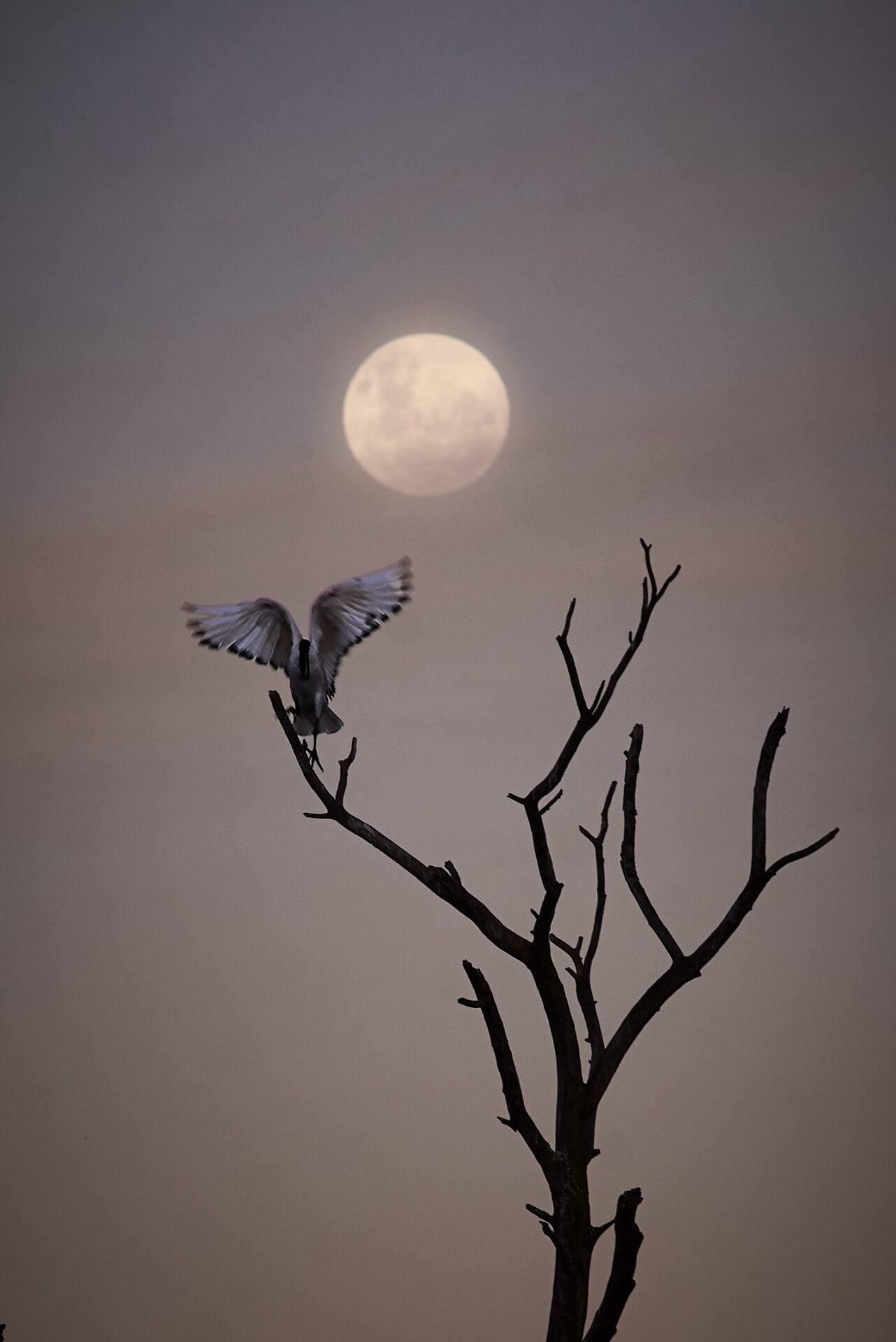 Garden Route Photographer